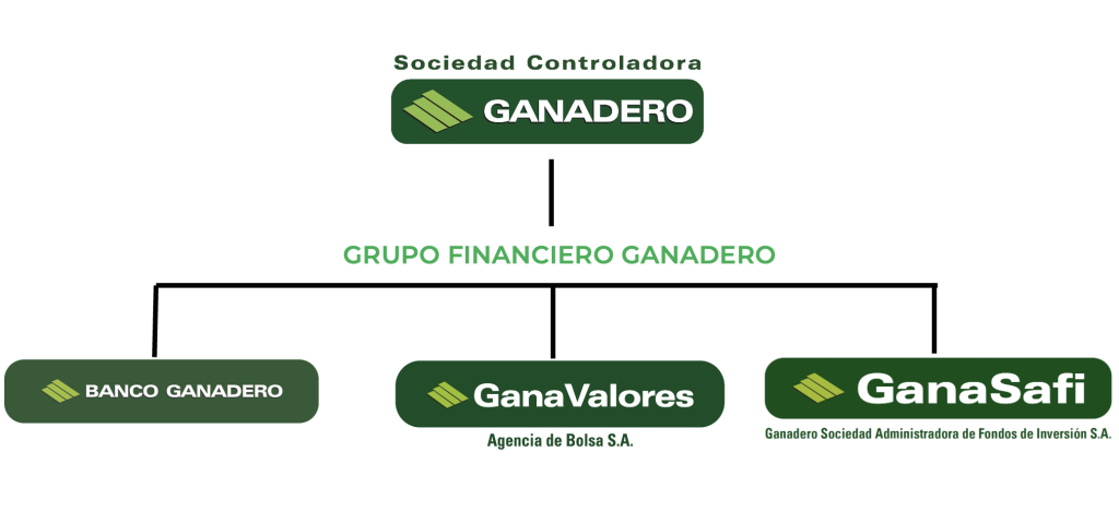 Organigrama Sociedad Controladora Ganadero Bolivia